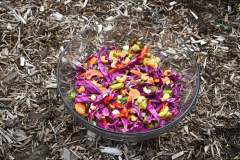Vegan-Vegetarian-Catering-170